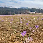Juna Tatry Nowe Bystre