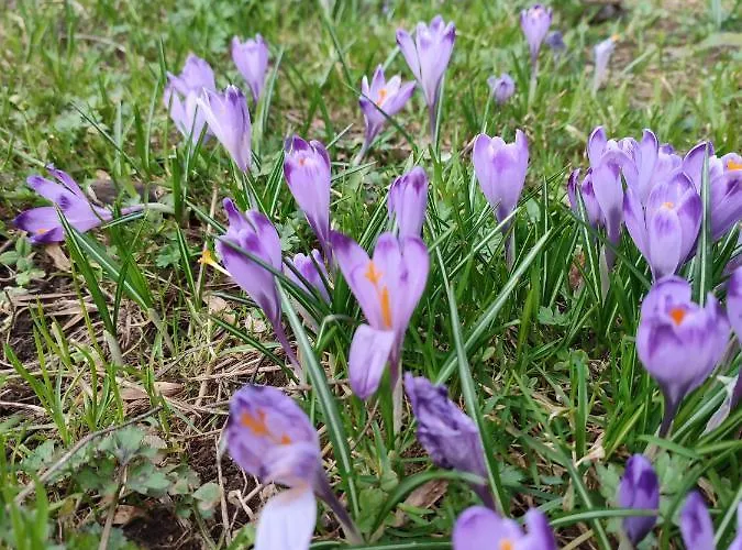 Juna Tatry Pensjonat Nowe Bystre